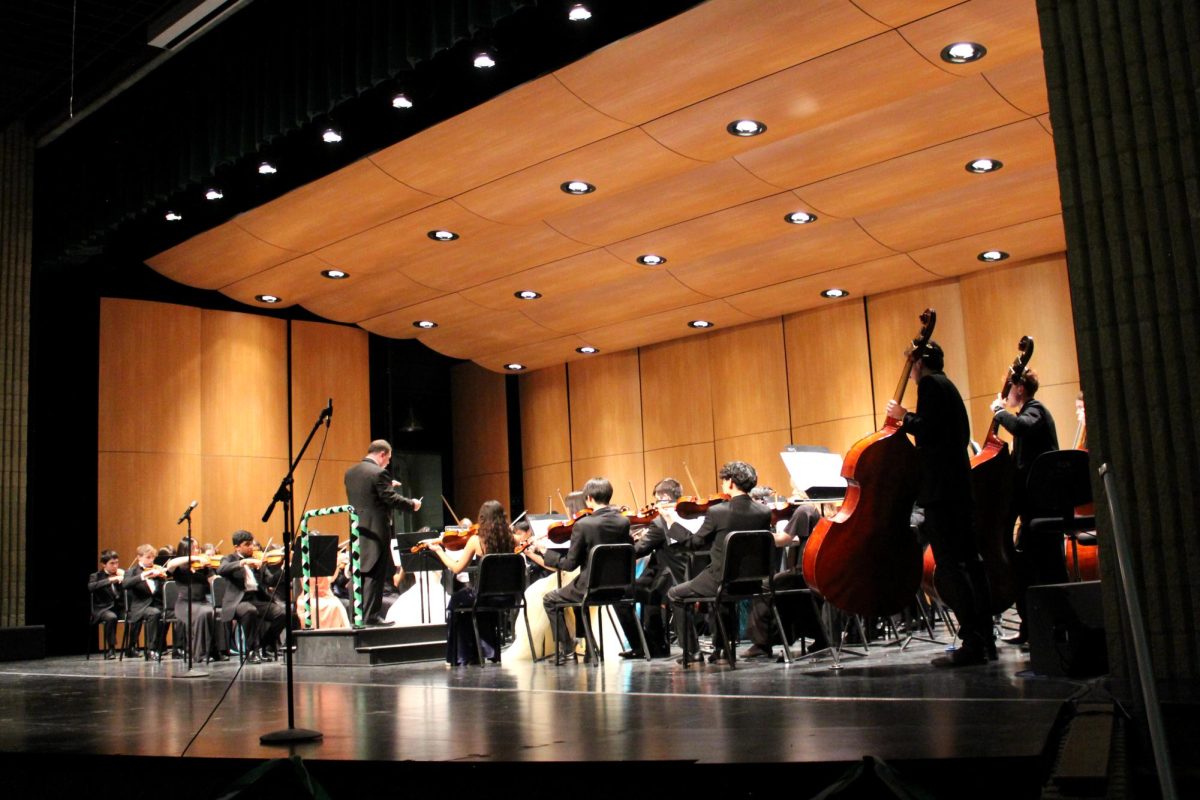 Novi philharmonic orchestra performs on the auditorium stage on March 2.